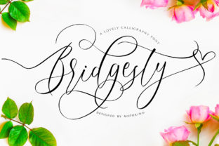 Bridgesty Font for Web Design